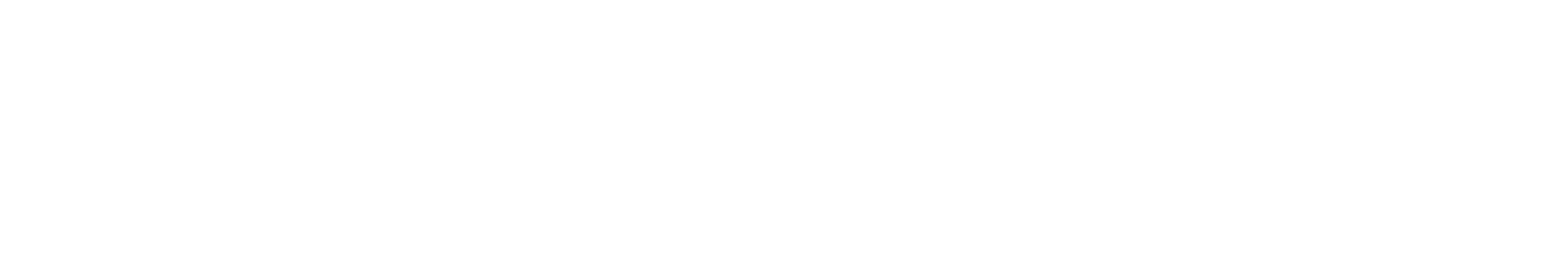 CONNECTING CUSTOMERS WITH THE IDEAL CAR